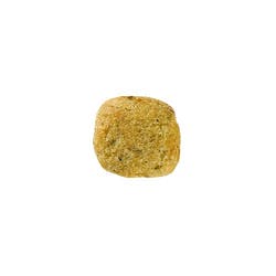 Gatos Castrados-Young Female 1,5 Kg