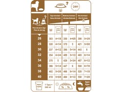 Labrador Retriever Adulto 12 Kg 