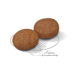 Medium Adult 7+ 15 Kg