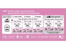 Mother &amp; Babycat x 400grs