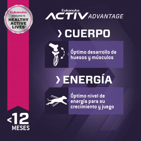 Eukanuba Puppy Large Breed 15 KG