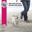 Eukanuba Puppy Small Breed 15 KG