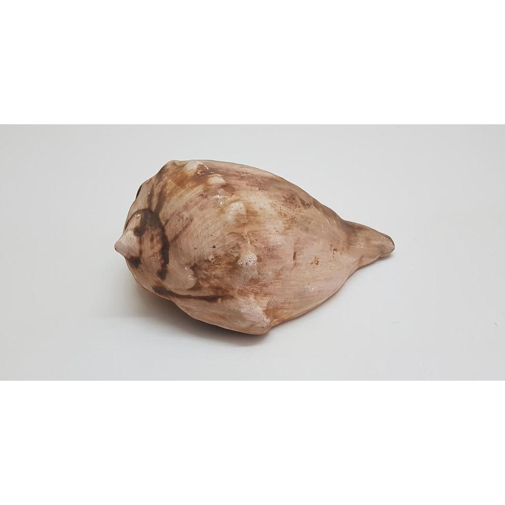 Adorno Pecera Caracol