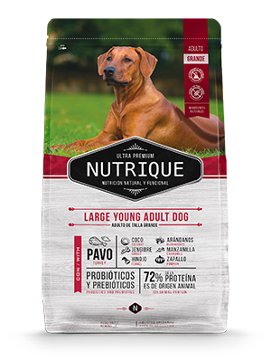 Vital Can Nutrique Large Young Adult Dog x 15kg