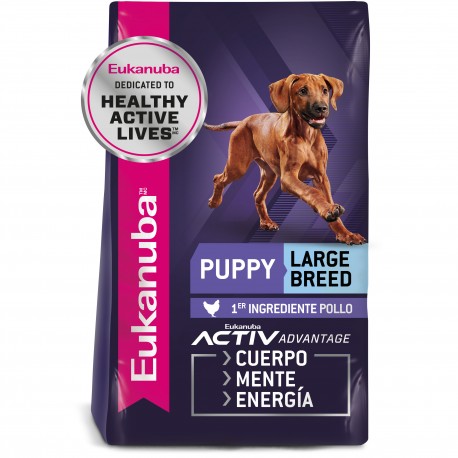 Eukanuba Puppy Large Breed 3 KG