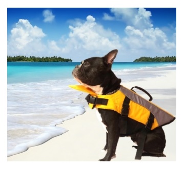 CHALECO SALVAVIDAS S 22 CM - PER-ROS