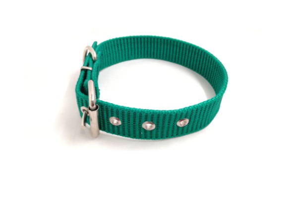 COLLAR CINTA NATO 40MM X 65CM - MISTER HUESO