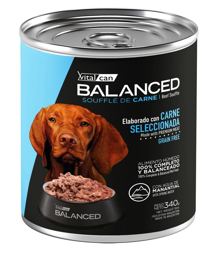 Balanced Souffle de Carne Perro Adulto 340g x 12u  