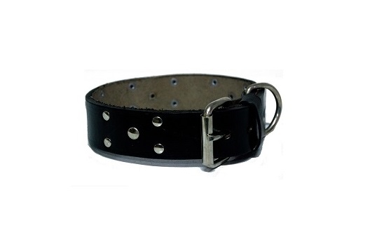 COLLAR DE CUERO CON TACHAS Nº6 KIPPER