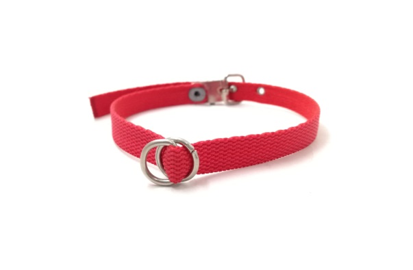 COLLAR GATO 27CMX10MM MISTER HUESO