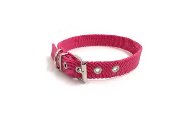 COLLAR NYLON MEDIO LISO 45X2CM. MISTER HUESO