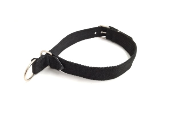 COLLAR NYLON SEMIAHORQUE ANCHO 68X3CM MISTER HUESO
