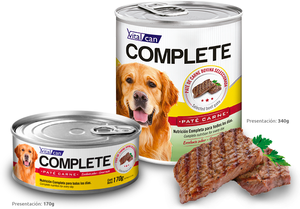 Vital Can Complete Perro Carne 340gr 