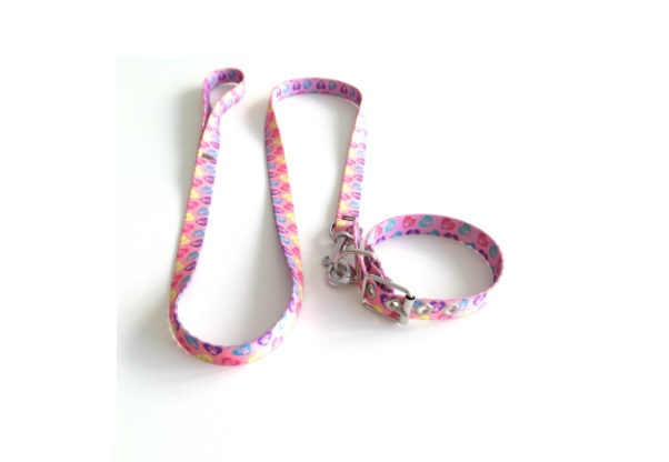 CONJ. COLLAR FINO 35CM Y CORREA FINA 110CM. - MISTER HUESO