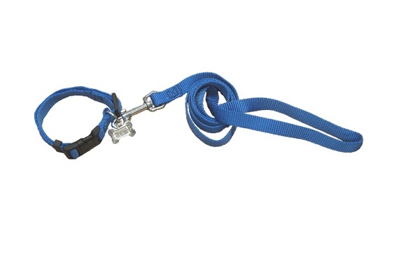 CONJ CORR/COLLAR LISO 10MM COL1 IMPORTADO