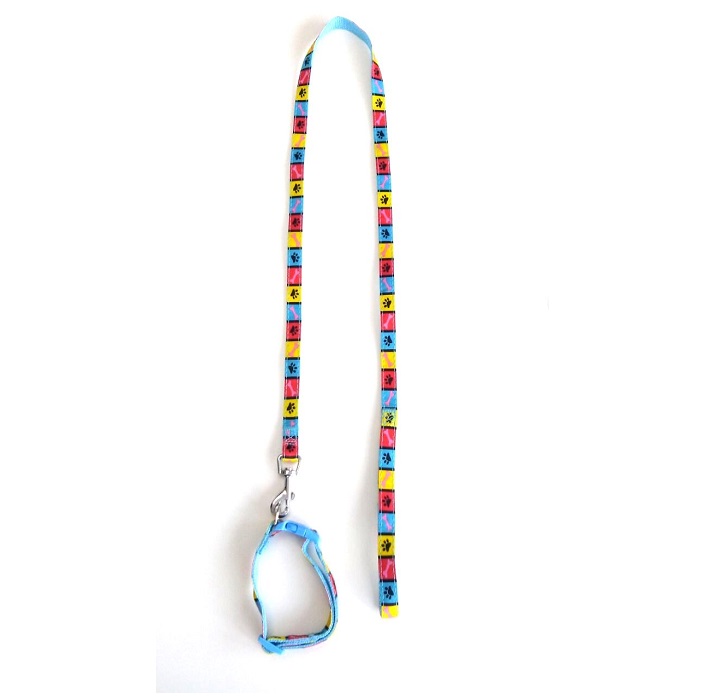 CONJUNTO CORREA Y COLLAR ESTAMPADO 15MM - MILLEX