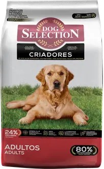 DOG SELECTION CRIADORES ADULTOS 21KG
