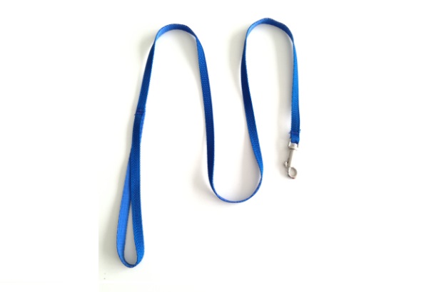 CORREA GATO 100X10MM MISTER HUESO