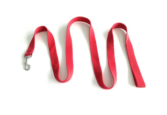 CORREA NYLON ANCHA 150X3CM MISTER HUESO