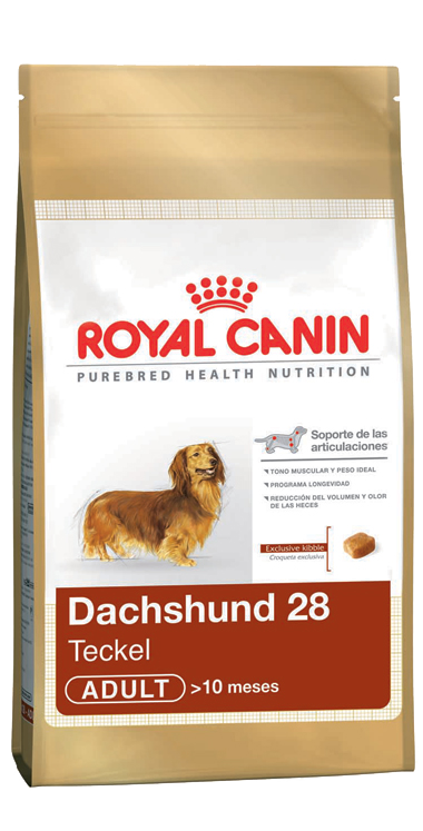 Dachshund Adulto 3 Kg