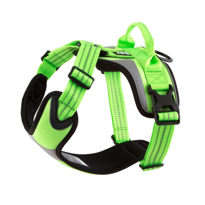 arnes verde small 1cm x 33-45cm