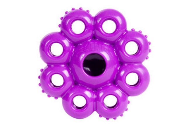 KONG QUEST STAR PODS PE13  -KONG