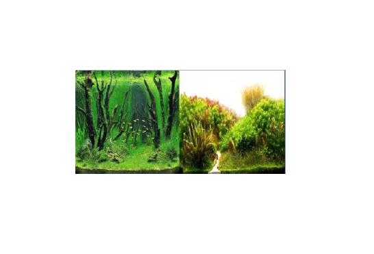 LAMINA 30 CM DOBLE FAZ X 15MTS - IMPORTADO