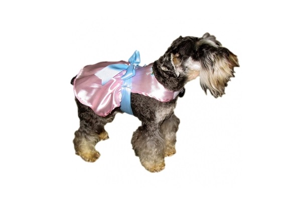 LINEA GLAMOUR FIESTA Nº1 25 CM. - PER-ROS