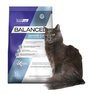 Vital Can Balanced Gato Senior X 400 Gr.