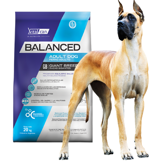 Vital Can Balanced Perro Adulto Raza Gigante X 20 Kg.