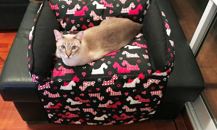 MOISES PREMIUM SOFA - MISTER HUESO