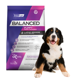 Vital Can Balanced Perro Cachorro Raza Grande X 1 Kg.