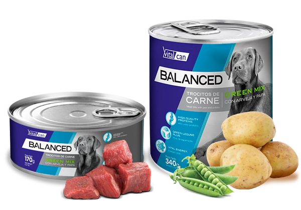 Vital Can Balanced Perro Green Mix 170gr 