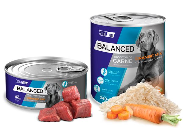 Vital Can Balanced Perro Orange Mix 340gr 