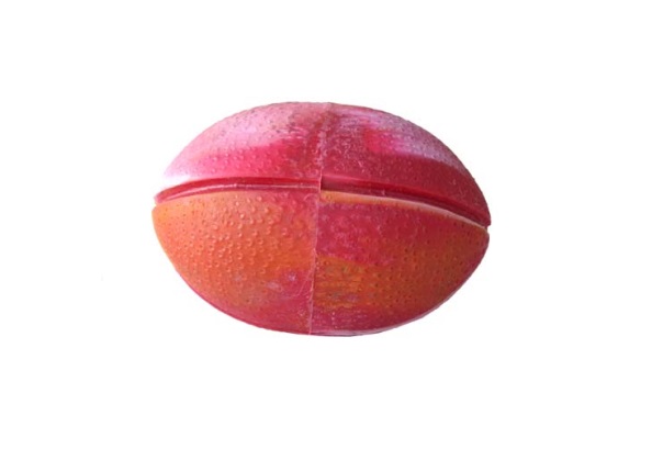 PELOTA MASCOTA RUGBY - ROTAMEC