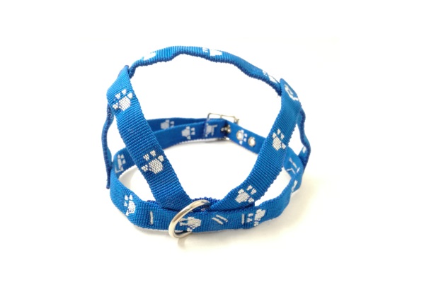 PRETAL MED. PROM ABDOM. PATITAS 46CM.X15 - MISTER HUESO