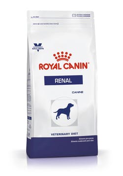 [3916015] RENAL CANINE