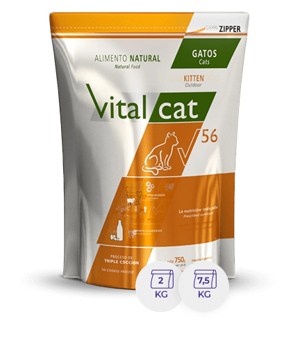 Vital Can V56 Kitten X 7,5 Kg.