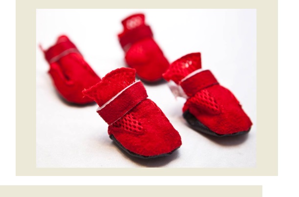 BOTAS LINEA ECO IMPORTADA M - PER-ROS