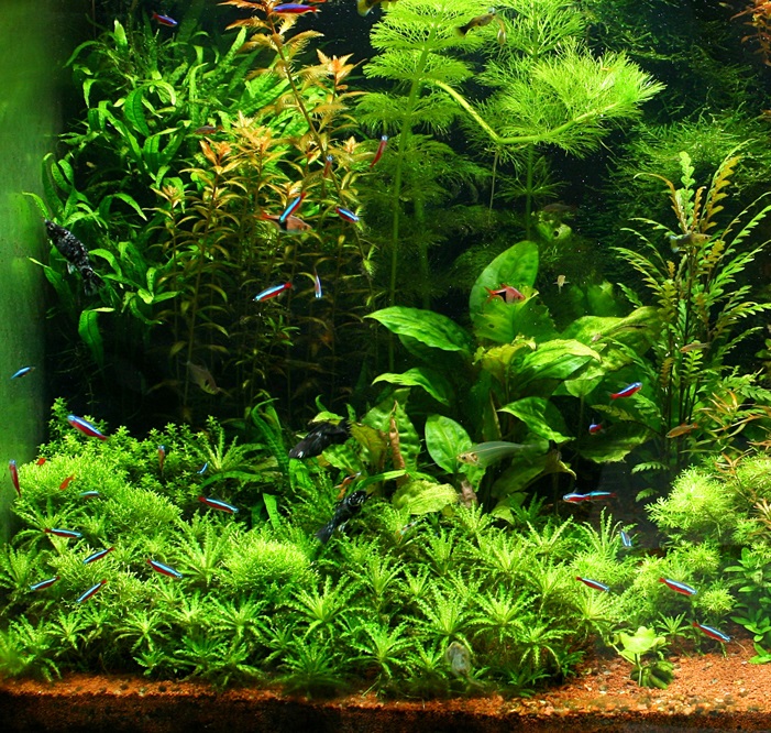 LAMINA DOBLE FAZ 49 CM X 15MTS - IMPORTADO