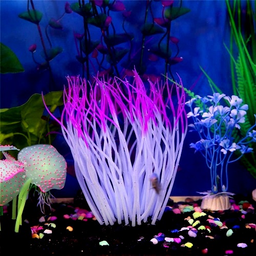 ANEMONA DE SILICONA - MILLEX