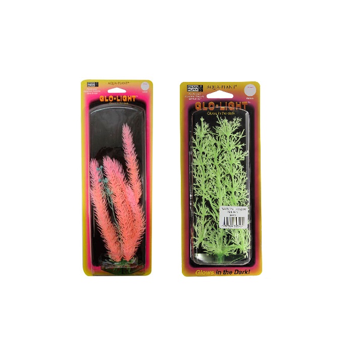 PLANTA MEDIANA GLO 08-PMGL TETRA