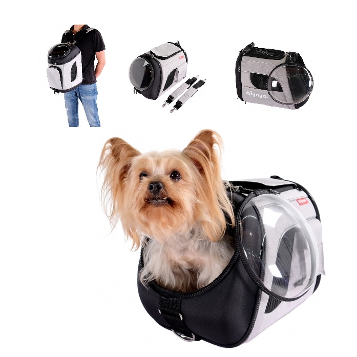 EXPLORER AIRLINE TRANSPARENT-FC1752G - COCOONING