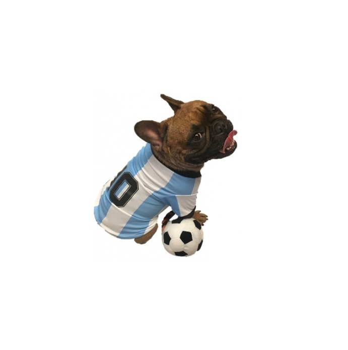 CAMISETA ARGENTINA  T10 70CM