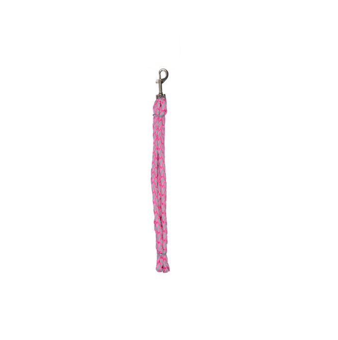 CORREA REFLECTIVE MEDIUM ROSA - PETNATION