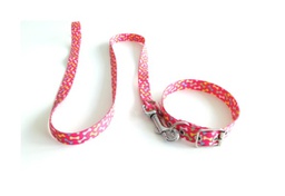 [620322] CONJ. COLLAR MEDIO 45CM. Y CORREA MEDIA 120CM. - MISTER HUESO