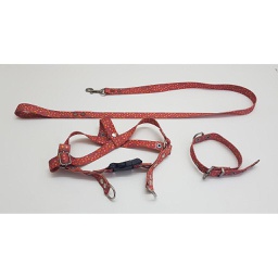 [24033] conjunto collar, pretal y correa poliester oferta