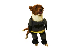 [150810] DISFRAZ BATMAN Nº2 30 CM.- PER-ROS
