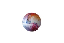 [140005] PELOTA MASCOTA CARITA CHICA 68MM - ROTAMEC