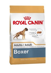 [2588120] Boxer Adulto